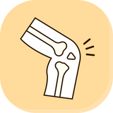 Bones & Joints